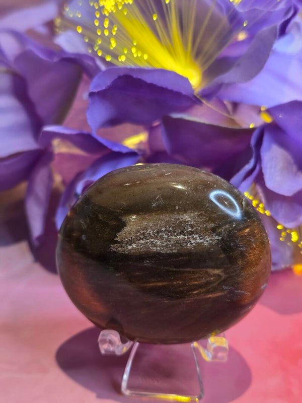 Petrified wood - versteend hout palmsteen