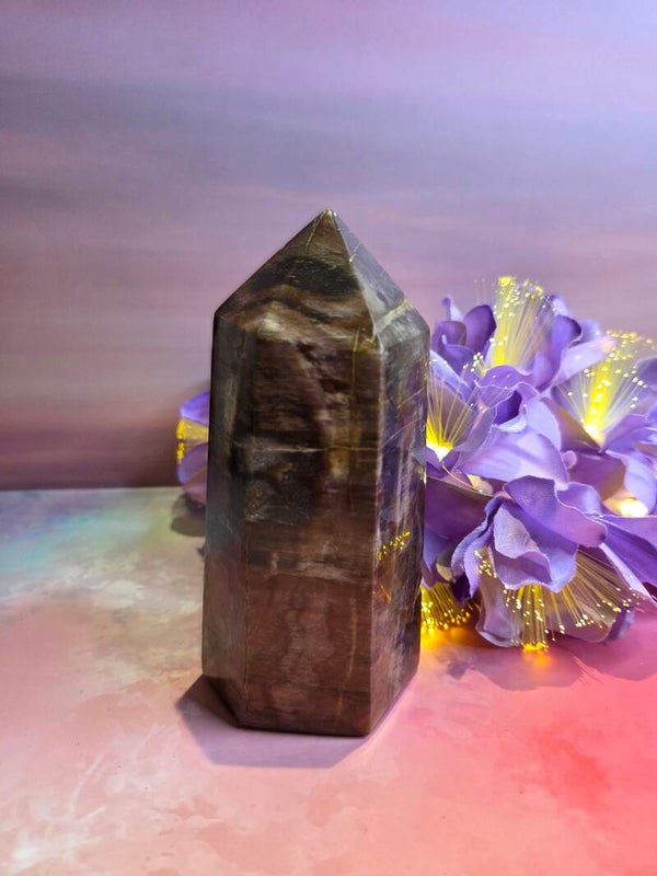 Petrified wood - versteend hout obelisk XL