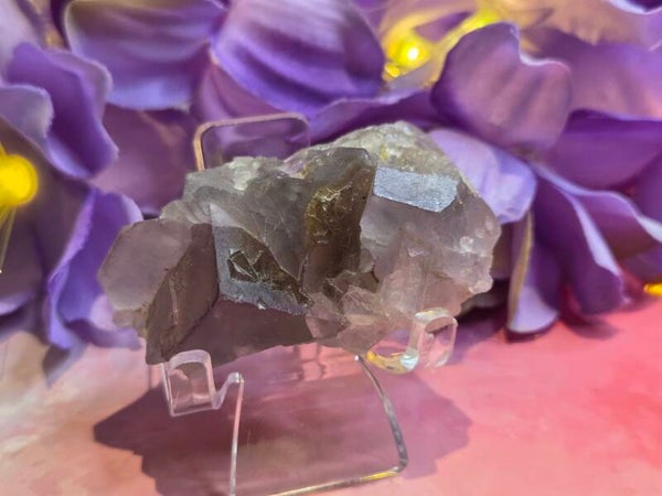 Grijze fluoriet octeader cluster