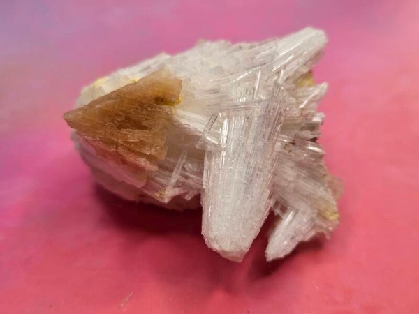 Witte scoleciet cluster