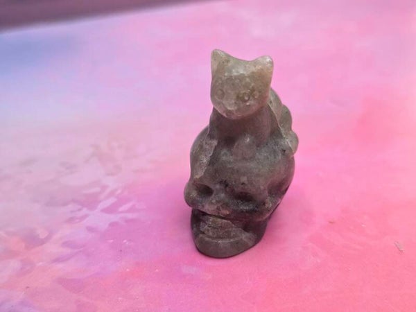 Poes op skull