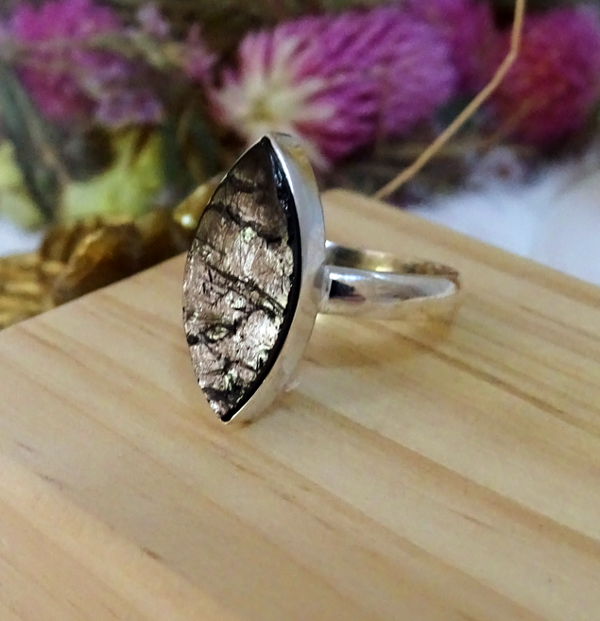 Shungiet zilveren ring