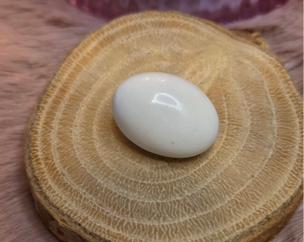 Scoleciet trommelsteen - Smal