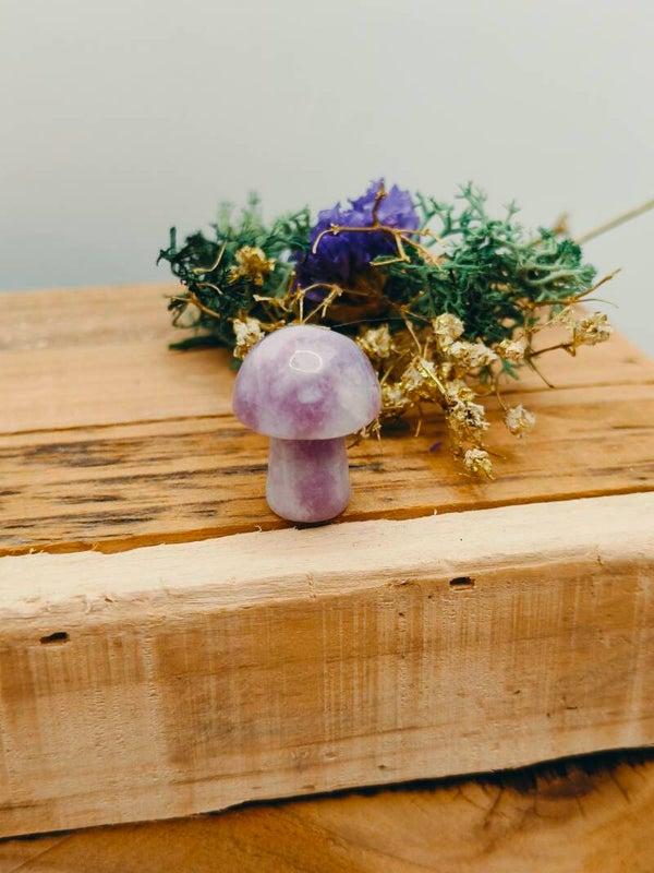 Lepidoliet klein paddenstoeltje