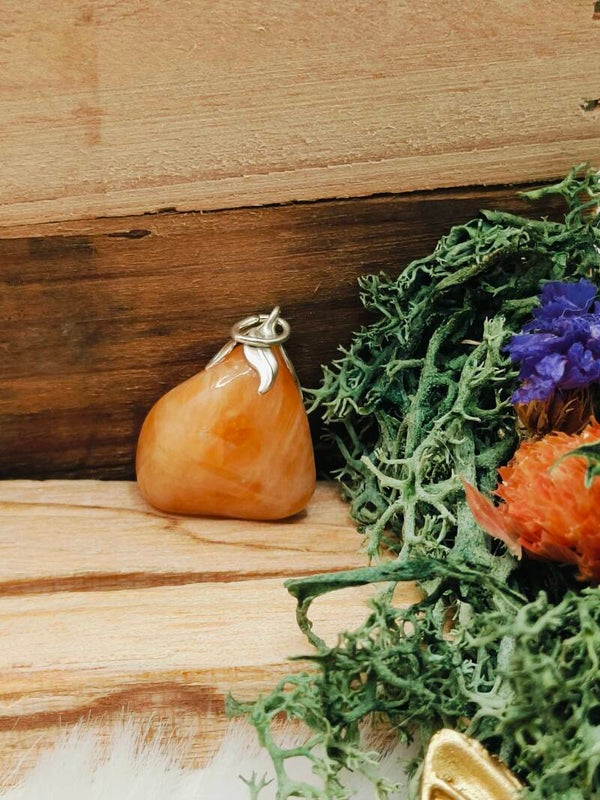 Oranje calciet gezondheidshanger