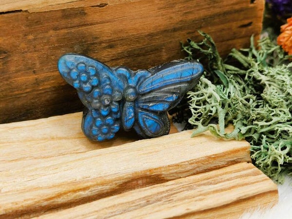 Labradoriet bloemenvlindertje - blue flash