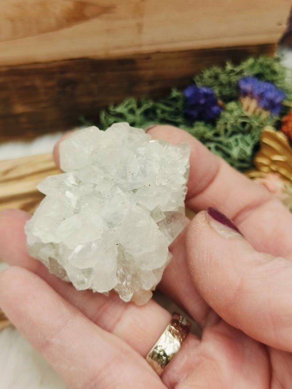 Wit stilbiet clustertje