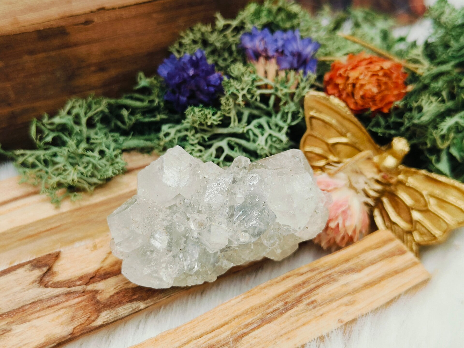 Wit stilbiet clustertje