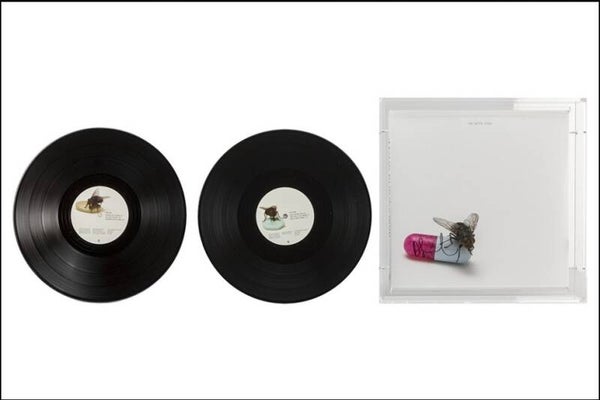 Daniel Hirst-"I'm with you" (Red Hot Chili Peppers)-signed LP in plexiglass display