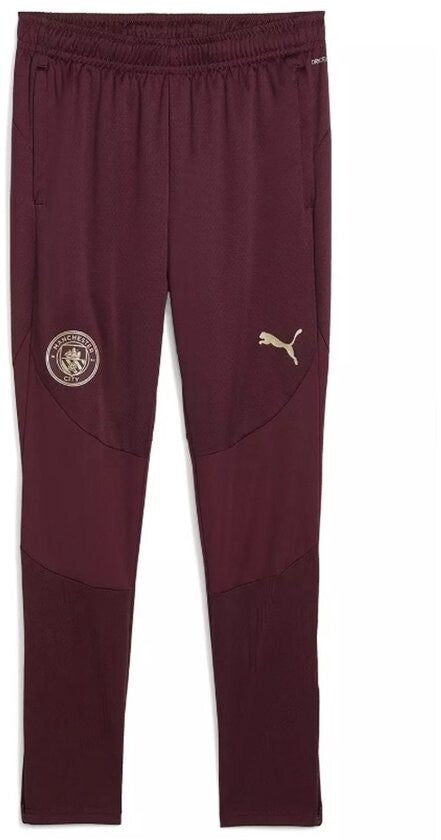 Puma Manchester City TR Pants