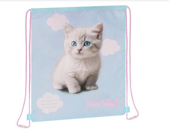 Gym Bag Aqua Cat