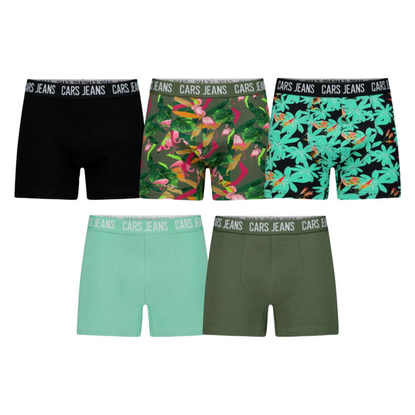 Cars Jeans Boys Boxershorts 5-Pack