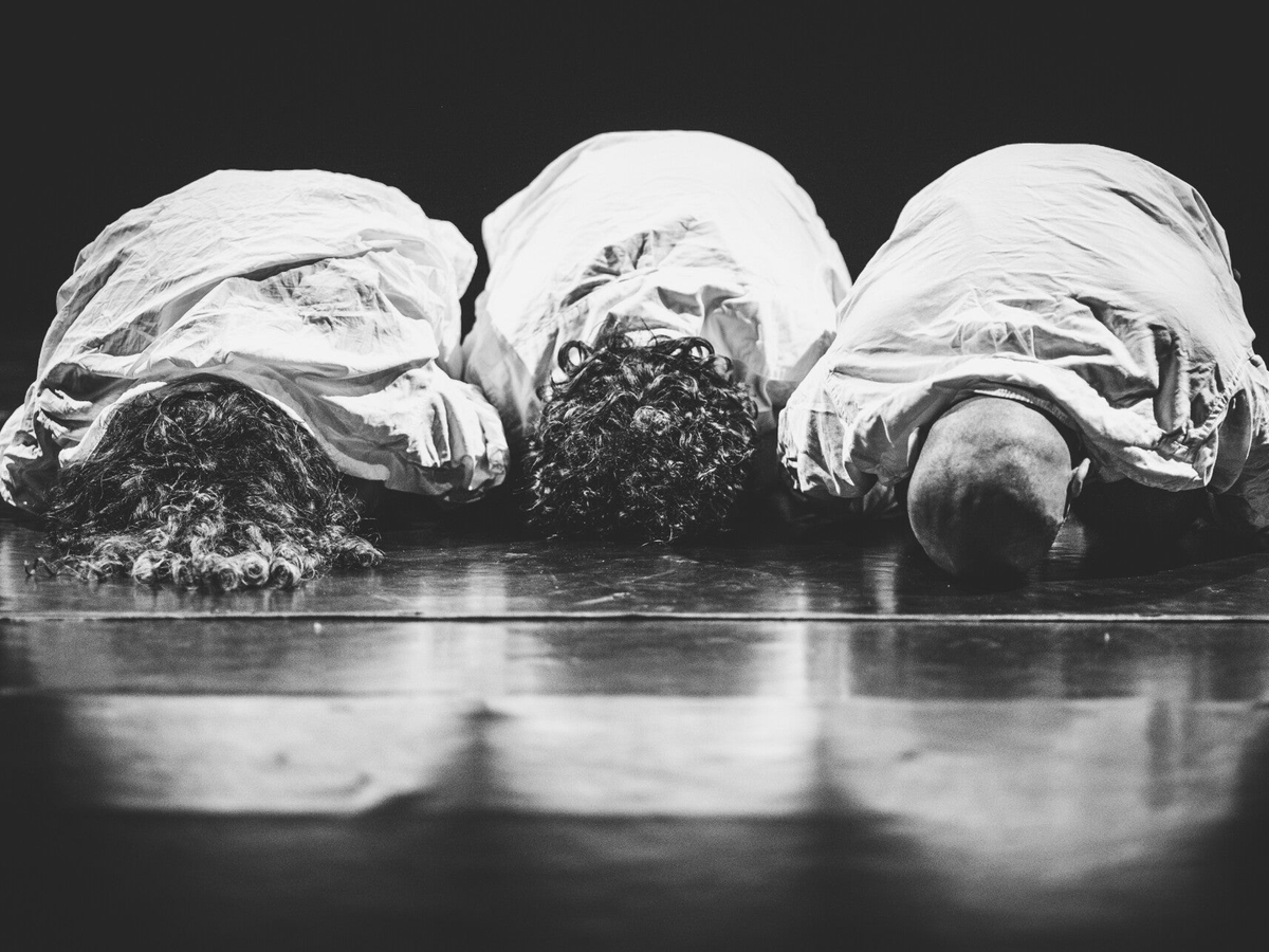 shows-synesthetic-project