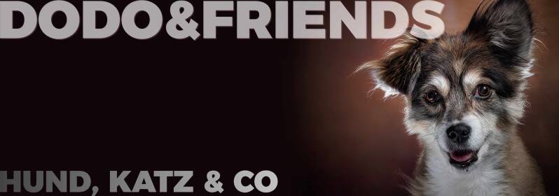 Dodo&Friends | Hund, Katz & Co