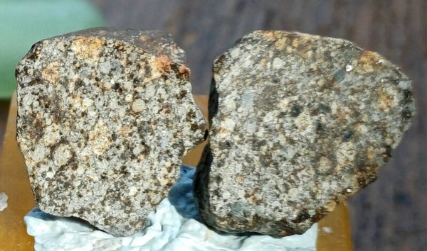 NWA 869 split and polished individual 11.96 grams