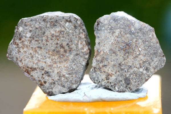 17.19 grams NWA 869 meteorite for sale