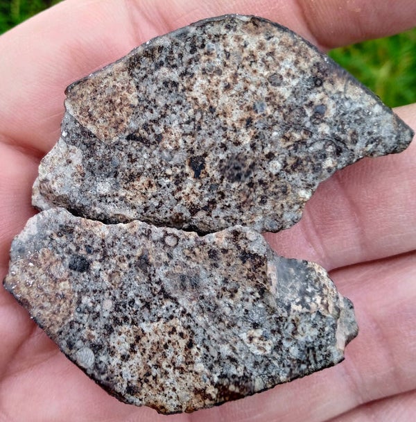 NWA 869 meteorite split in 2 and polished 48.62 grams