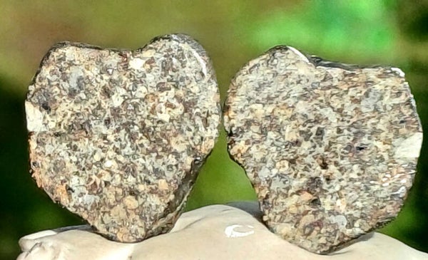 6.07 grams NWA 869 split in 2 and polished for sale