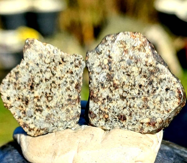6.9 grams NWA 869 meteorite cut in 2 and polished