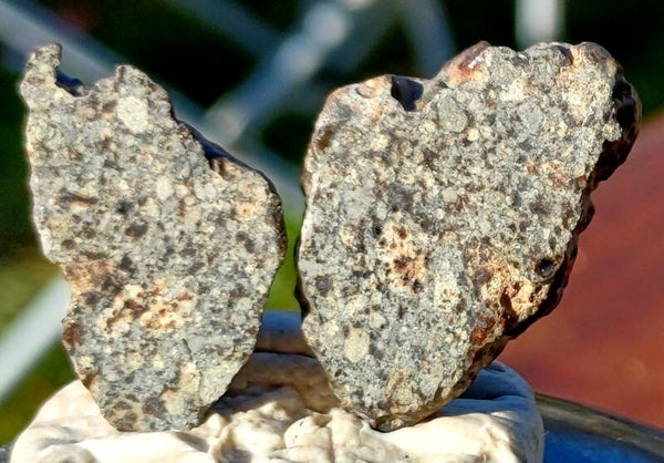 9.32 grams NWA 869 split in 2 and polished