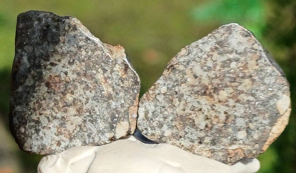 9.96 grams NWA 869 meteorite split in 2 and polished for sale