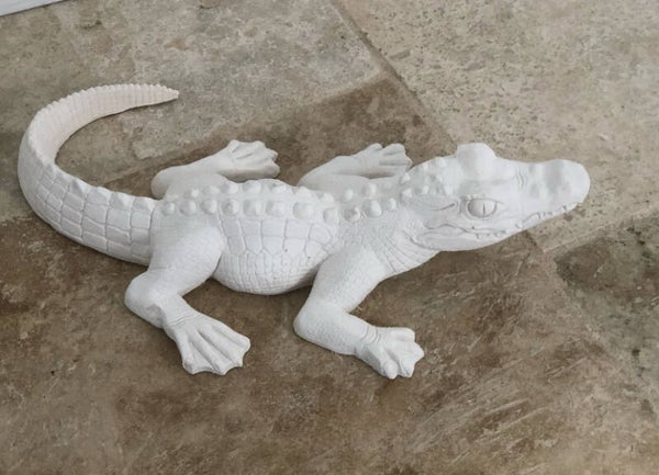 Crocodile