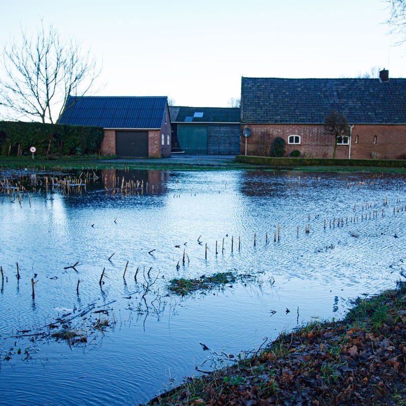 nicolewaters01themawater.jpg