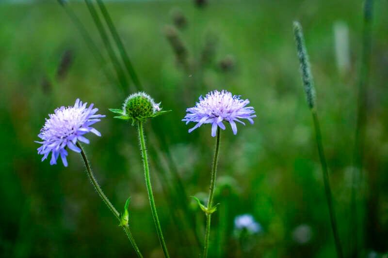 toon-smits-alpenwei-see-_dsc8195-standard.jpg