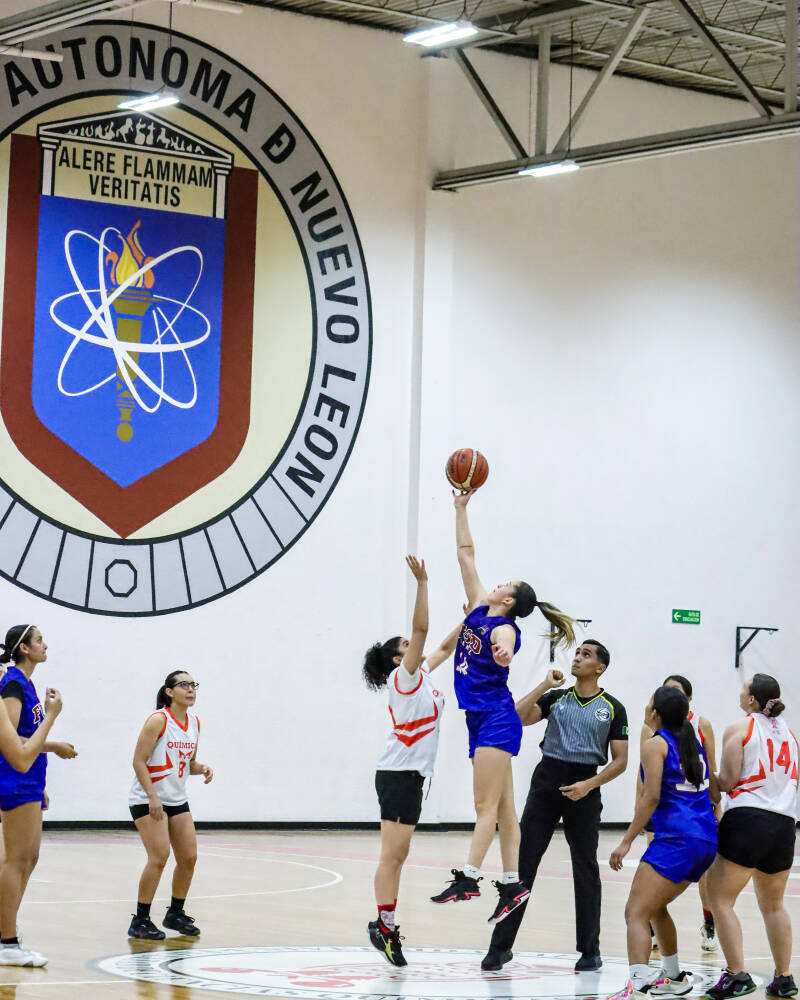 basket1-standard.jpg