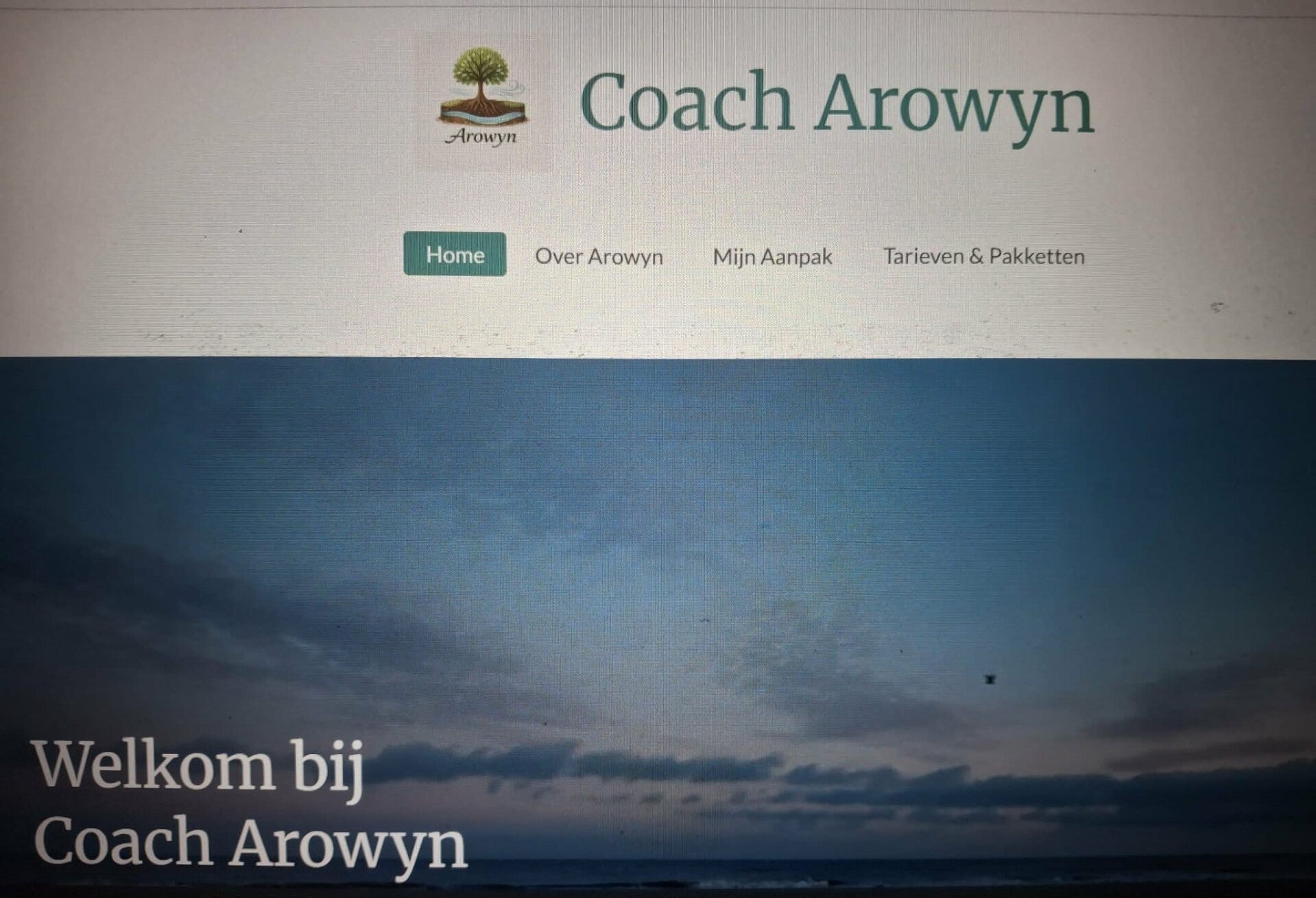 Online coaching