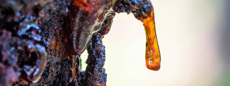 Zirbenharz zum Räuchern aus Österreich