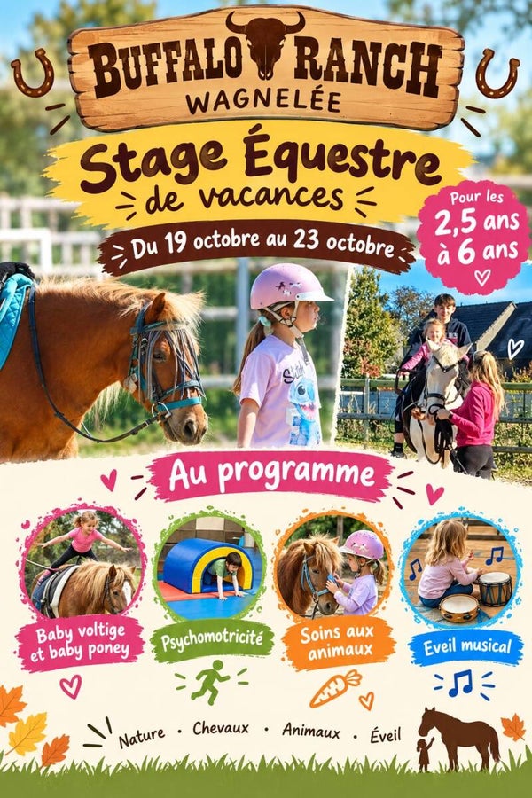 Stage d'équitation