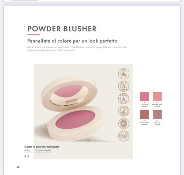 POWDER BLUSHER