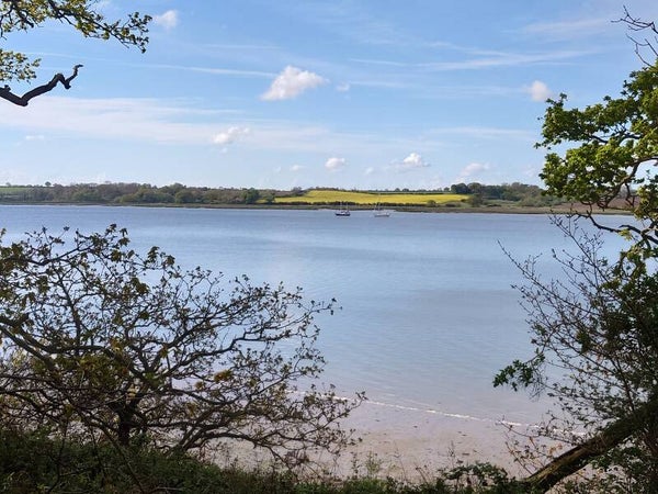 Spring on the Orwell