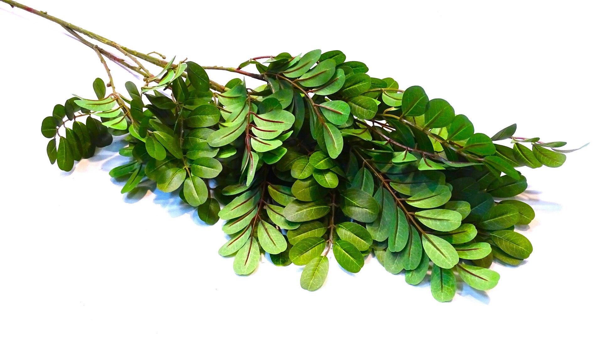 Groenblad