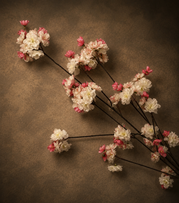 Bloesem Wit/Roze