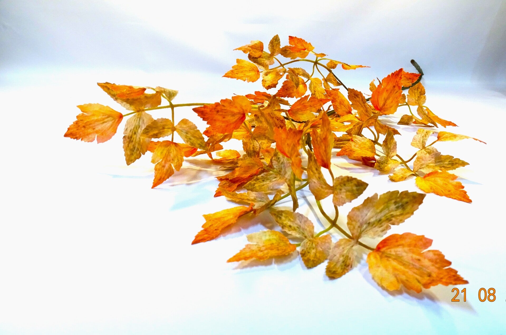 Herfstblad