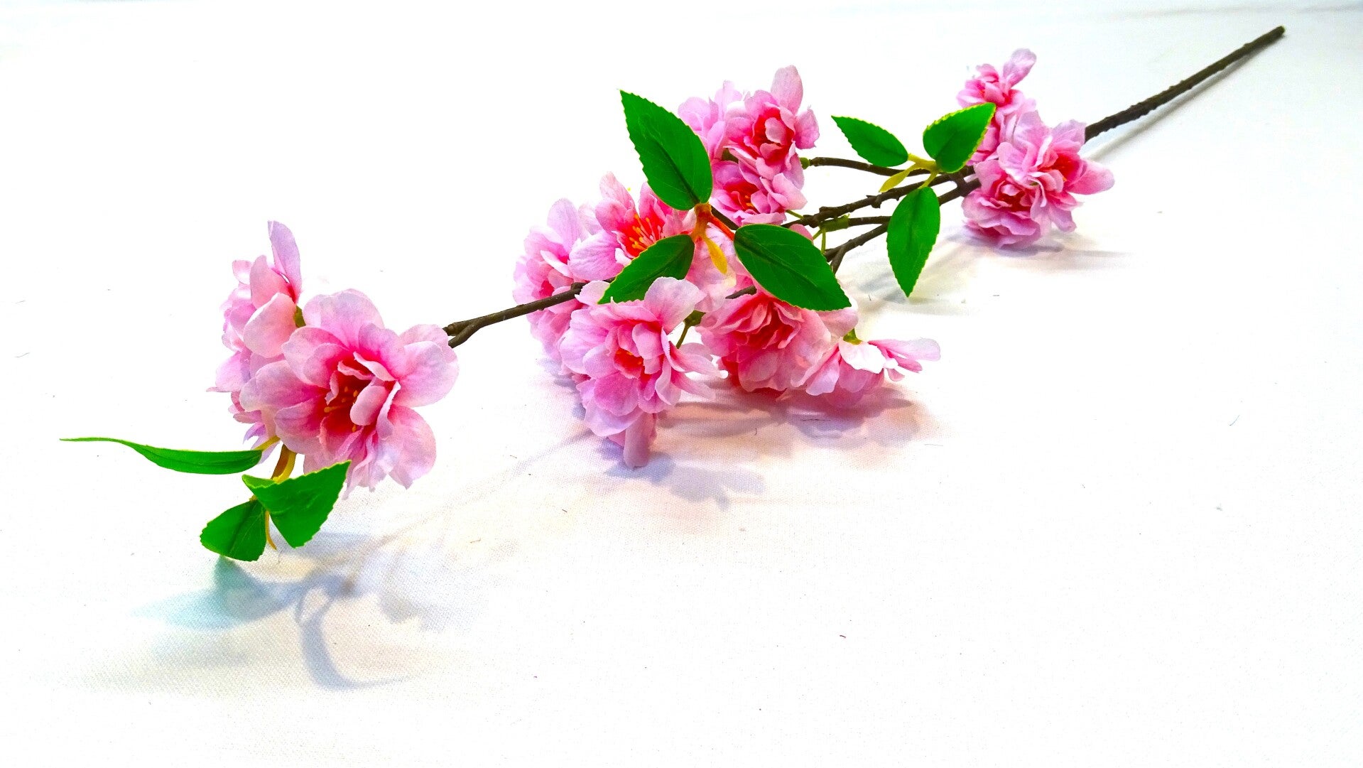 Lange Bloesem Roze