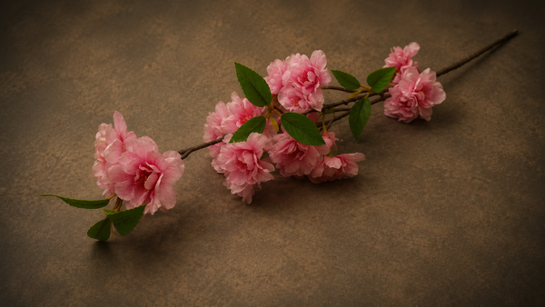 Lange Bloesem Roze