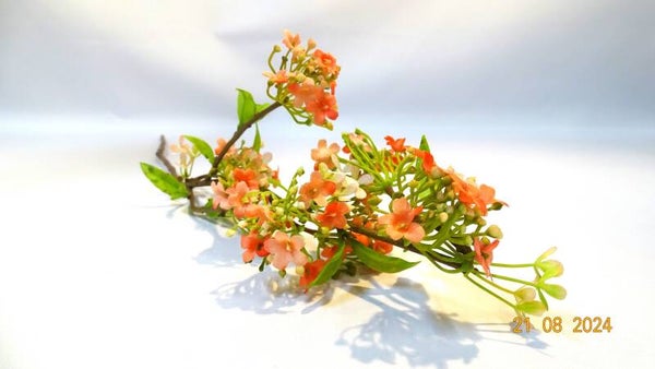 Viburnum Roze
