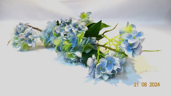 Wilde Hortensia