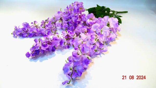 Wisteria Paars