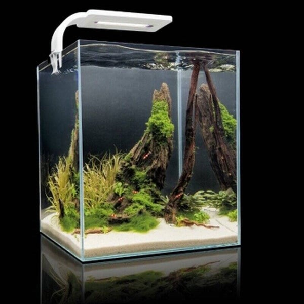 Aquael Shrimp Set SMART 2 - 10 l - weiß