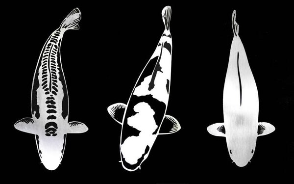 EDELSTAHL Koi Bundle - Chagoi / Shusui / Kohaku