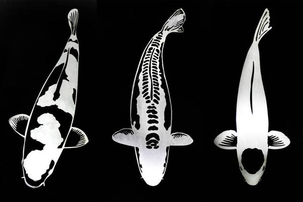 EDELSTAHL Koi Bundle - Kohaku_Shusui_Tancho 30cm