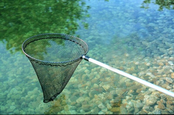 Fischkescher groß, rund, 38 cm
