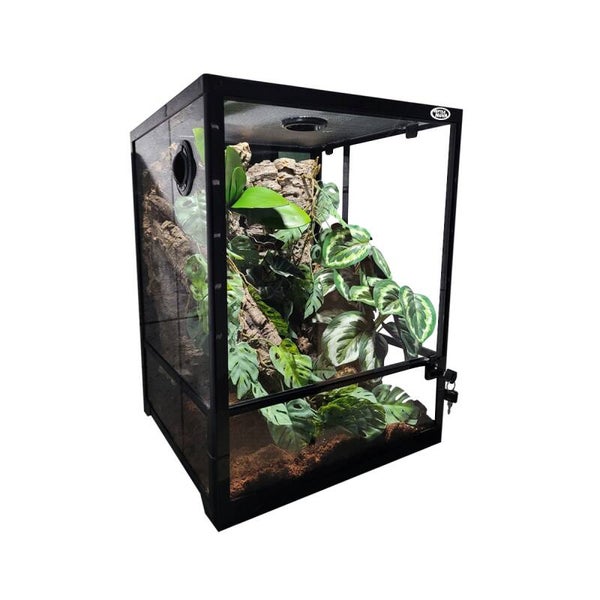 Paludarium / Terrarium Neuware 119,00€