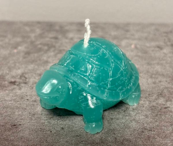Kerze Schildkröte