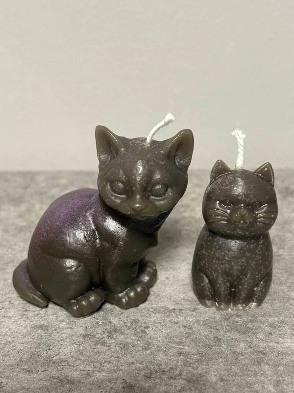 Kerze Katzen Duo