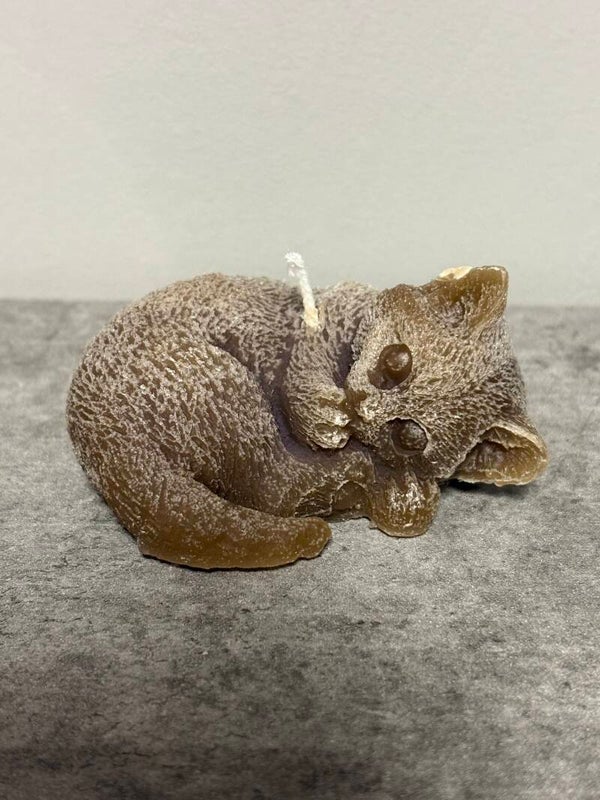 Kerze Katze